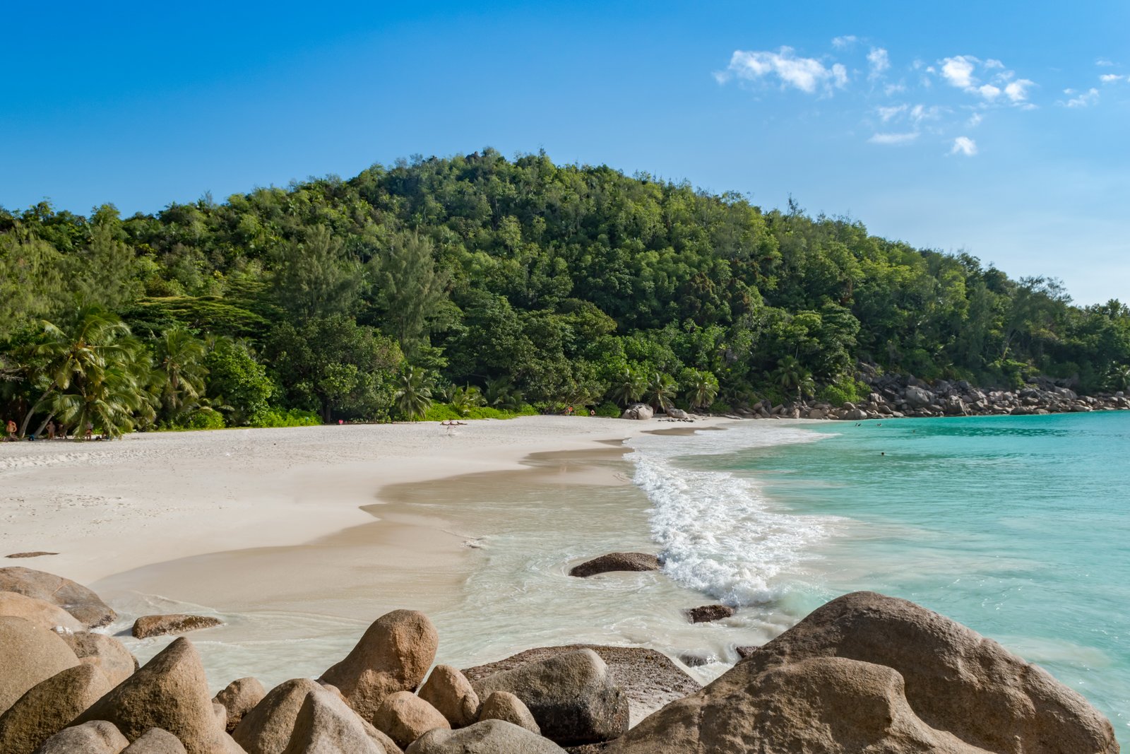 Anse Georgette Praslin — secluded coconut-palm beach, Seychelles